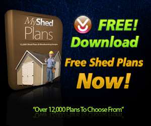 Shed Door Plans : The Way To Build An Amish Shed